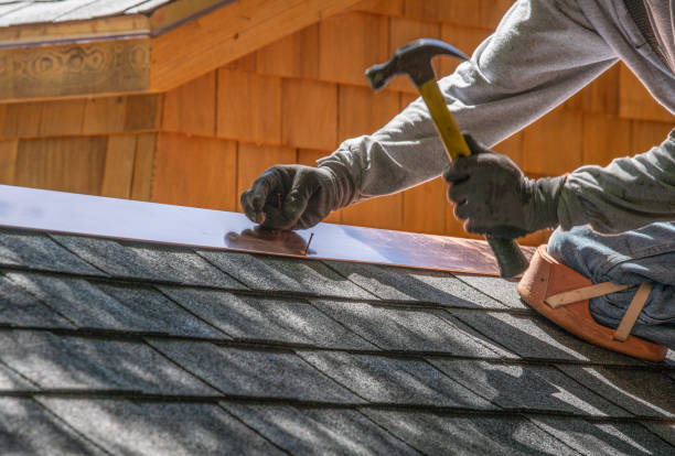 Best Roof Maintenance and Cleaning  in Patrick Springs, VA