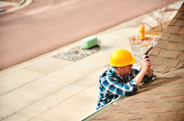 Best Roof Moss and Algae Removal  in Patrick Springs, VA